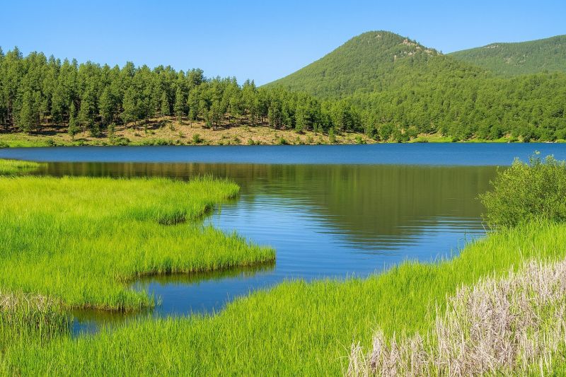 Best Siding Replacement pros in Evergreen, CO