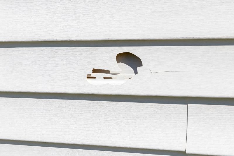 Vinyl Siding Repair Image 7