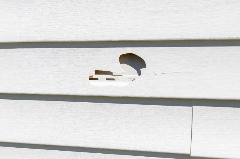 Vinyl Siding Repair Image 10