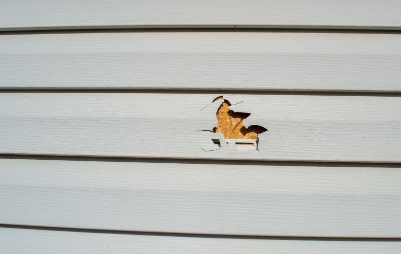 Vinyl Siding Repair Image 12